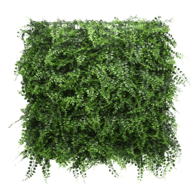 fern-hedge[1]